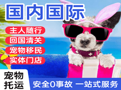 福州长乐机场货运国际宠物托运 【国